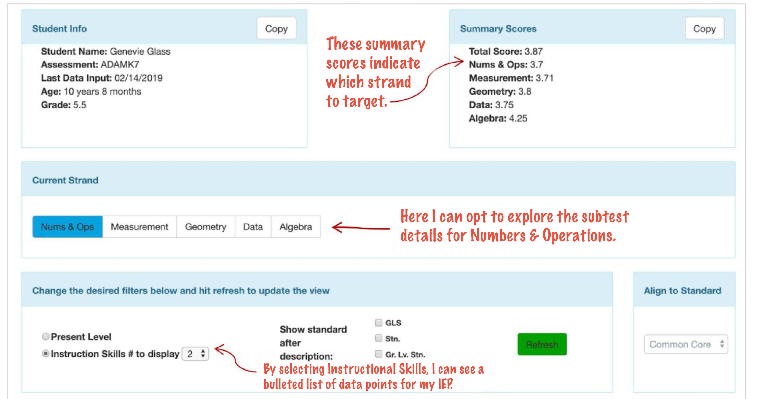 Sample ADAM IEP Tool Screenshot